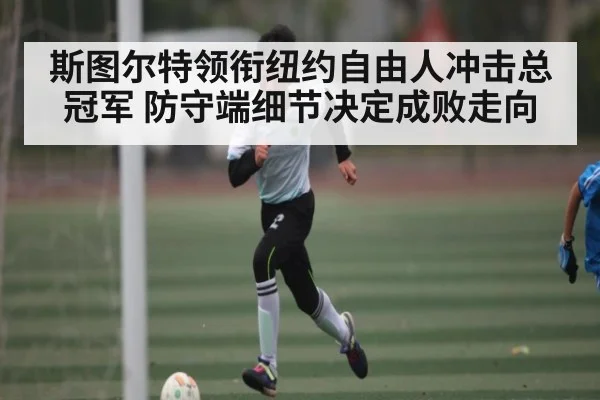 斯图尔特领衔纽约自由人冲击总冠军 防守端细节决定成败走向（ayx.com）
