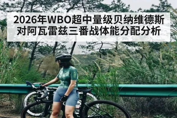 2026年WBO超中量级贝纳维德斯对阿瓦雷兹三番战体能分配分析（ayx.com）